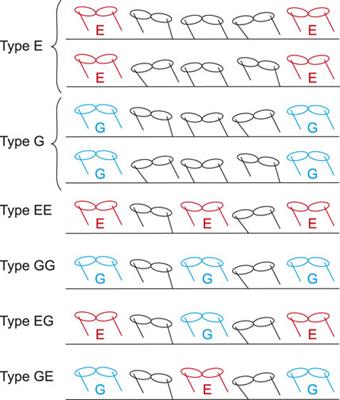 Three Characteristics of Cheetah Galloping Improve Running Performance Through Spinal Movement: A Modeling Study